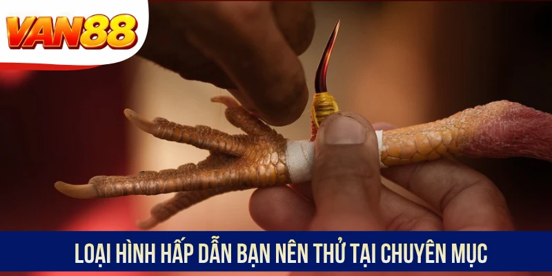 Loại hình hấp dẫn bạn nên thử tại chuyên mục